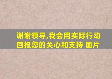 谢谢领导,我会用实际行动回报您的关心和支持 图片